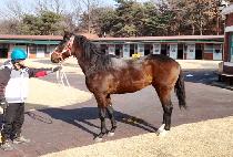 ��ȣ (SEOHO) ����