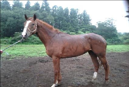 ����Ǯ���� ����