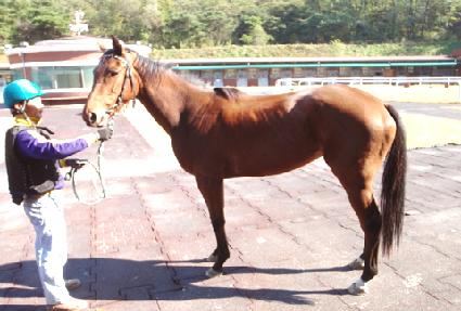 �̴� ����