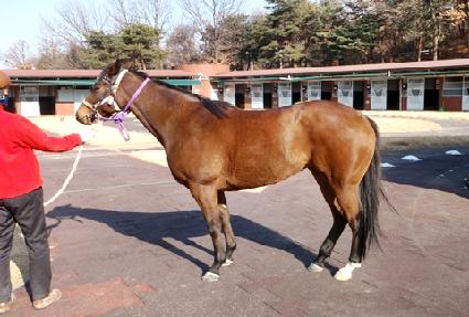 ����ŷ ����