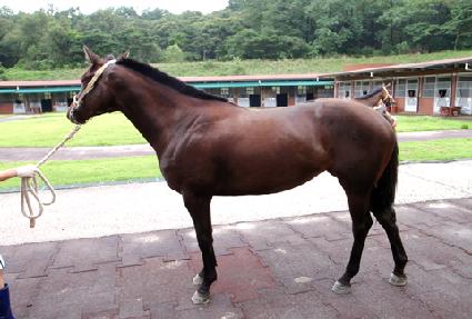 �縣ī ����