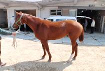 Ž�󿩰� (TAMNA YEOGEOL) ����