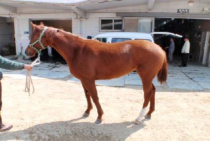 Ž�󿩰� ����