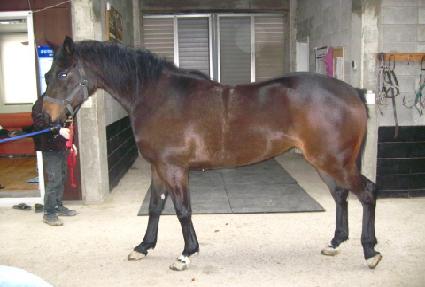 ������ ����