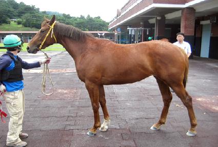 ���̴��� ����