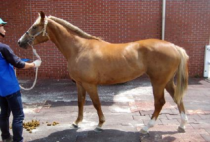 �����ʵ� ����