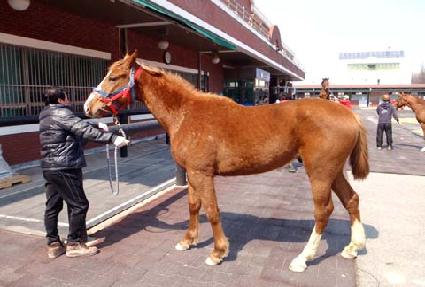 ���ַ��� ����