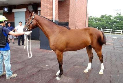 �ź��α׶� ����