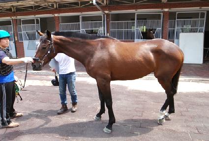 �α׶���Ű ����