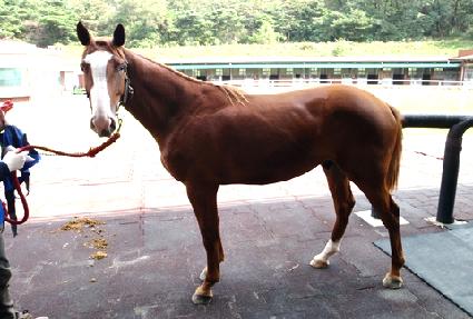 �����Ĵ��� ����