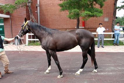 ���Ͻ��� ����