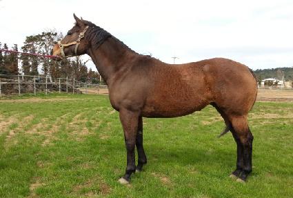 �ƽ���� ����