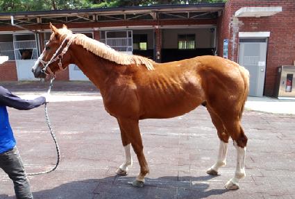 ���� ����