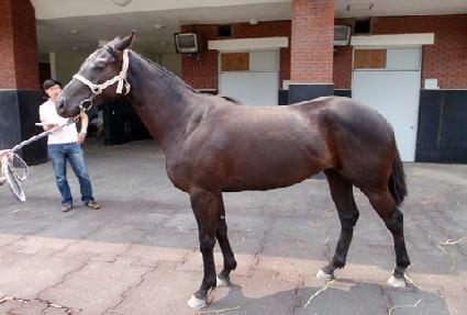 ������� ����