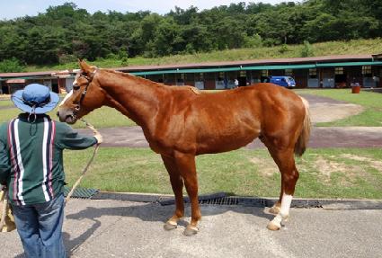 �ۼ���� ����