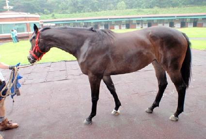 �α׶�Ÿ�� ����