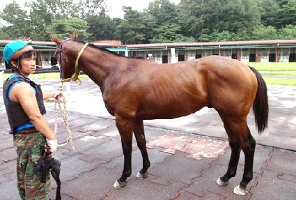 �������� ����