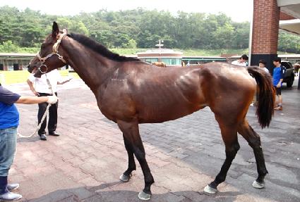 ���̵�� ����