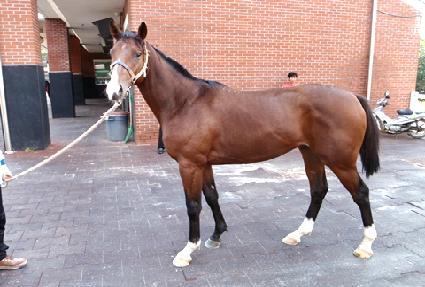 ������Ÿ�� ����