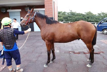 ��ī�̴��� ����