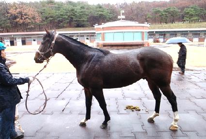 ������� ����