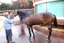 ��Ʈ��Ƽ (LAST FORTI) ����