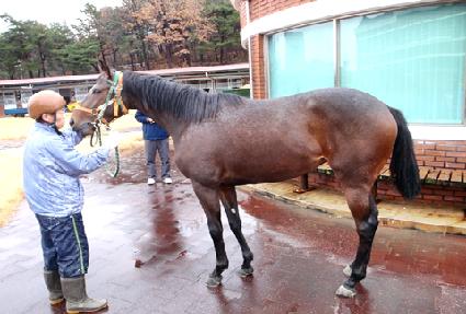 ��Ʈ��Ƽ ����