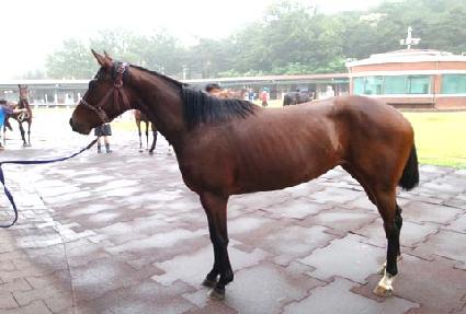 ��Ƽ�� ����