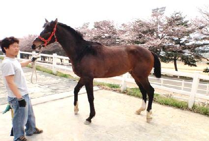 �ٴ���ǳ ����