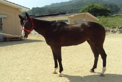 Ű�� ����