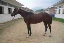 �����ְ� (SEONGSIL CHOEGANG) ����