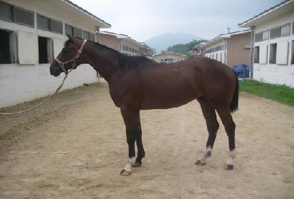 �����ְ� ����