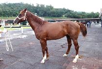 ȯ���� (HWANSANG YEONCHUL) ����