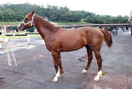 ȯ���� ����