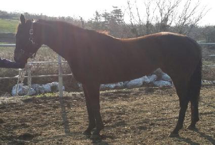 �۷ι����� ����