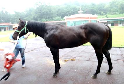 �¸������ ����