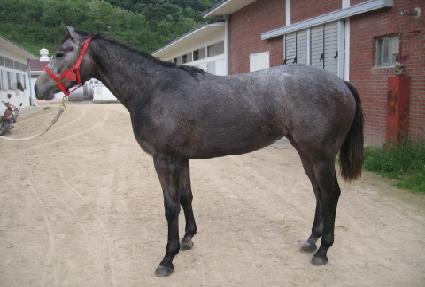 ������ ����