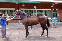 �ҷθ�ũ (HALO MARK) ����