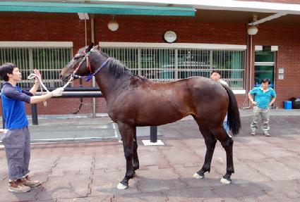 �ҷθ�ũ ����