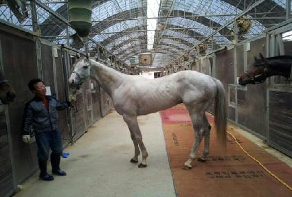 ��õ��ũ ����