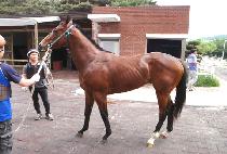 �¼��� (ONSURI) ����