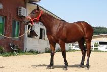 ������Ŭ���� (MASTER CLASS) ����