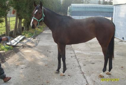 ���ױ۷θ� ����