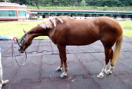 ��õ����Ʈ ����