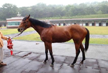 ��õ���罺 ����