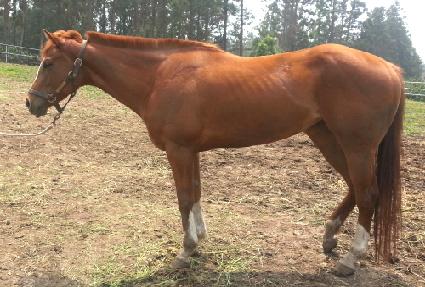 �ٴ� ����