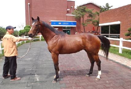 ����è�� ����