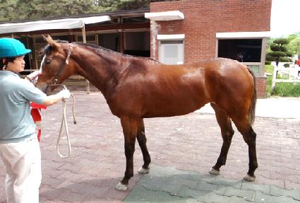 ����� ����