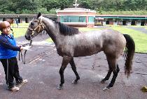 ��õ�Ǻ� (INCHEONUI BIT) ����