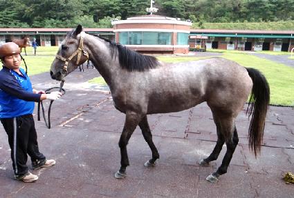 ��õ�Ǻ� ����